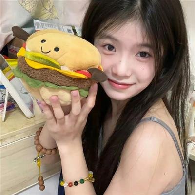 少年骑士